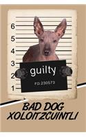 Bad Dog Xoloitzcuintli: Isometric Dot Drawing Paper Notebook Featuring 120 Pages 6x9