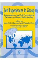 Self Experiences in Group Intersubjective and Self Psychological Pathways to Human Understanding