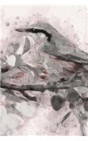 Spring Bird Notebook