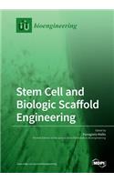 Stem Cell and Biologic Scaffold Engineering