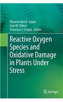 Reactive Oxygen Species and Oxidative Damage in Plants Under Stress