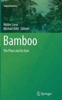 Bamboo