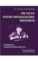 Die Natur psycho-physikalischer Phänomene