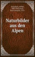 Naturbilder aus den Alpen