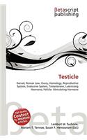 Testicle: (English)