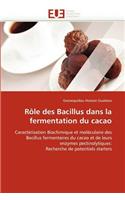 Rôle Des Bacillus Dans La Fermentation Du Cacao