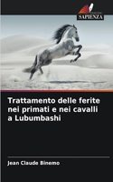 Trattamento delle ferite nei primati e nei cavalli a Lubumbashi