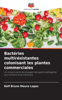 Bactéries multirésistantes colonisant les plantes commerciales