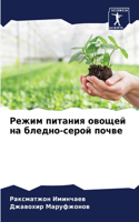 Режим питания овощей на бледно-серой почв&#107