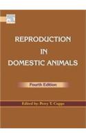 Reproduction In Domestic Animals