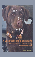 Long Walk Into a Brisk Wind