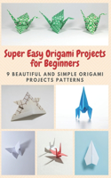 Super Easy Origami Projects for Beginners: 9 Beautiful and Simple Origami Projects Patterns