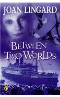 Between Two Worlds (Puffin Teenage Fiction)