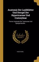 Anatomie Der Laubblätter Und Stengel Der Hypericaceae Und Cratoxyleae