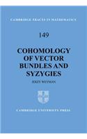 Cohomology of Vector Bundles and Syzygies