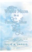 White Moon in a Powder Blue Sky