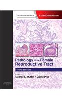 Pathology of the Female Reproductive Tract