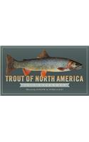 Trout of North America Calendar