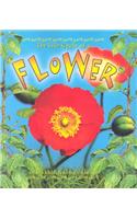 The Life Cycle of the Flower