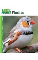 Finches