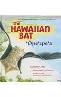 Hawaiian Bat