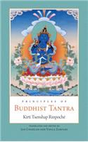Principles of Buddhist Tantra: A Commentary on Choje Ngawang Palden's Illumination of the Tantric Tradition: The Principles of the Grounds and Paths of the Four Great Secret Class