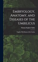 Embryology, Anatomy, and Diseases of the Umbilicus