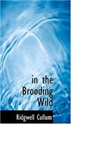 In the Brooding Wild