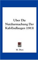 Uber Die Nutzbarmachung Der Kali-Endlaugen (1913)