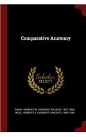 Comparative Anatomy