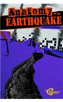 Anatomy of an Earthquake