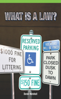 What Is a Law?