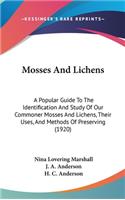 Mosses And Lichens