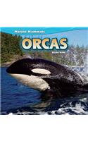 Orcas: (Marine Mammals)