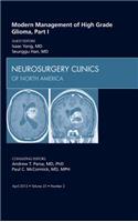 Modern Management of High Grade Glioma, Part I, an Issue of Neurosurgery Clinics