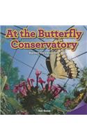 At the Butterfly Conservatory: Represent and Interpret Data