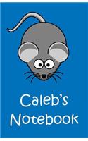 Caleb's Notebook