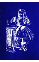 Alice in Wonderland Chalkboard Journal - Drink Me! (Blue)