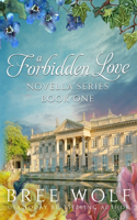 A Forbidden Love Novella Series: Novellas 1 - 4