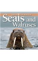 Exploring the World of Seals and Walruses