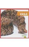 Eels