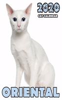 Oriental 2020 Cat Calendar