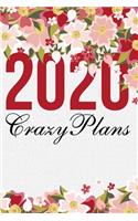 2020 Crazy Plans
