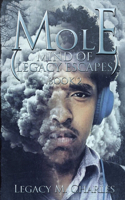 Mole (Mind of Legacy Escapes)