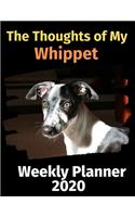 The Thoughts of My Whippet
