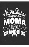 Never Stand Between A Moma And Her Grandkids