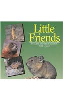 Little Friends
