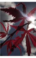 Japanese Maple Leafs and Clouds Journal: Take Notes, Write Down Memories in this 150 Page Lined Journal