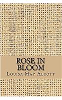 Rose in Bloom