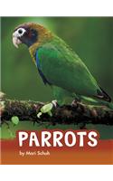 Parrots: (Animals)